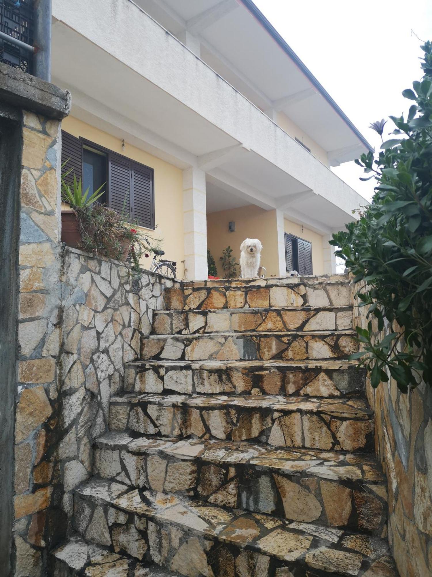 Villa Private House Durrës Habitación foto